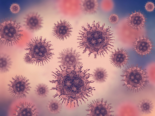Coronavirus – Prevención